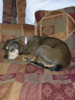 Amaleigh profile photo