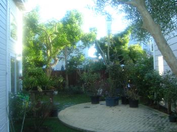 Patcharaluv profile photo