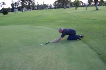Afe5 profile photo