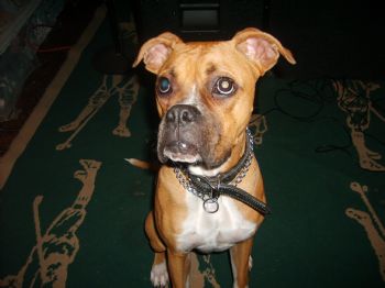 Heirapparent profile photo