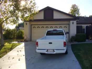 Pirategina profile photo