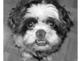 Sammiiee profile photo
