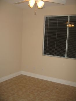 Congaree profile photo