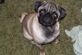 Mairj23Mc profile photo