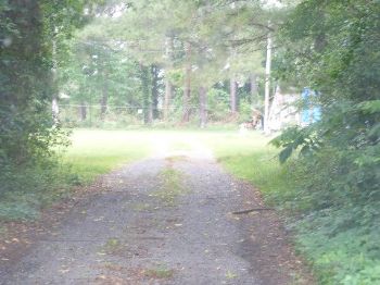 Shadowacres profile photo
