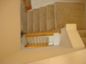 Thesuitelife profile photo