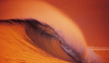 Mjsurf profile photo