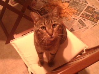 Catm753 profile photo