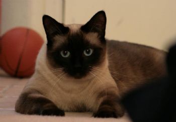 Easyroomy profile photo