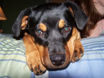 Pkr316 profile photo
