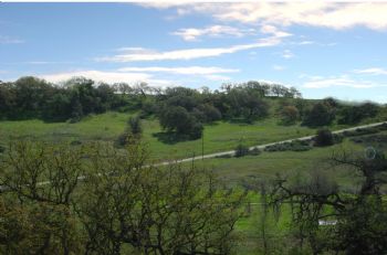Ranch profile photo