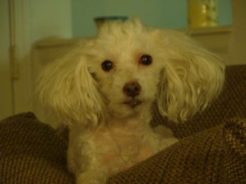 Cherokeelady profile photo