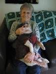 Cintigard profile photo