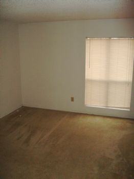 Chucktown88 profile photo
