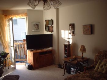 Aminaalami profile photo