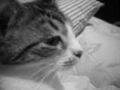 Pollyq profile photo