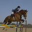 Horsegirl profile photo