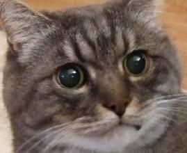Nneejj profile photo