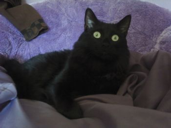 Al26843 profile photo