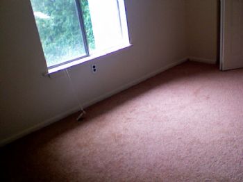 Phwtw profile photo