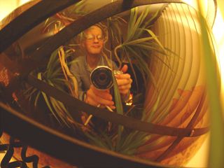 Pixelblade profile photo