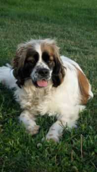 Jmae profile photo