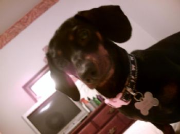Heidimo profile photo