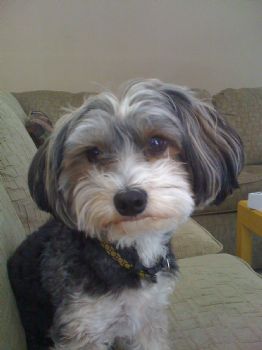 Noskii profile photo