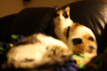 Sandypants profile photo