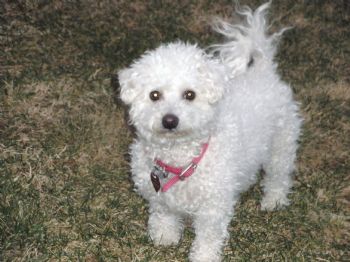Yessi profile photo
