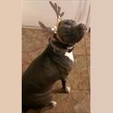 Mysthyria profile photo