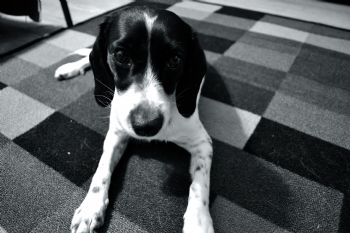 Bacooper profile photo