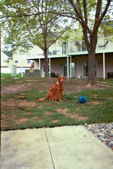 Sadiegold profile photo