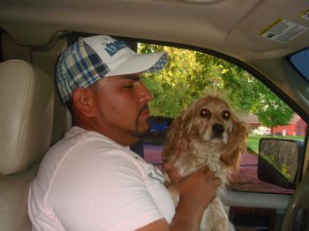 Luismonrreal profile photo