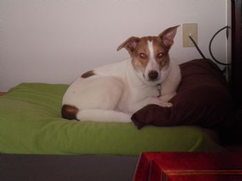 Kwabbles profile photo