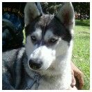 Kaliluvrs profile photo