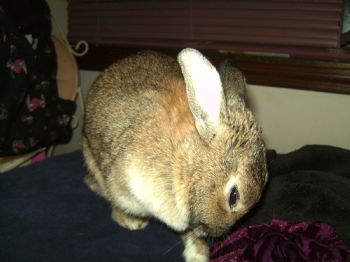 Olive21 profile photo