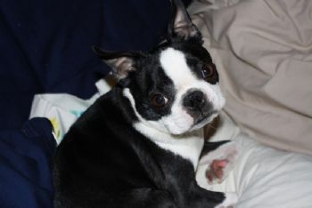 Louisa20 profile photo