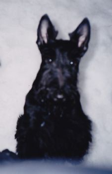 Zenne profile photo