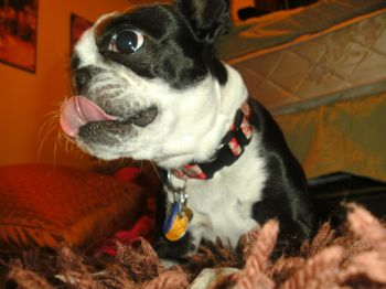Sarabeth_C profile photo