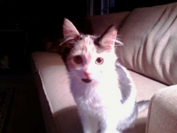 Tussey73 profile photo