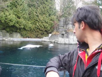 Yasser20 profile photo