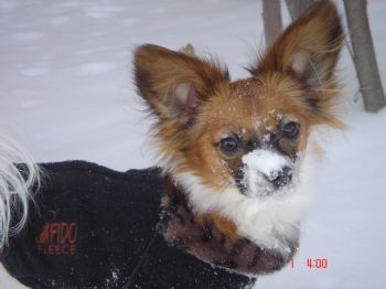 Mariez3267 profile photo