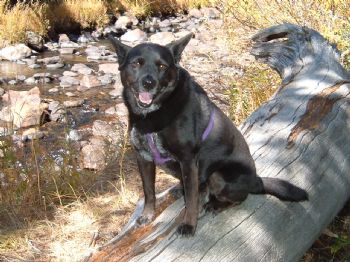 7Rothrock profile photo