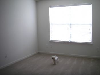 Eleecurtis profile photo