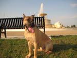 454Bigblock profile photo