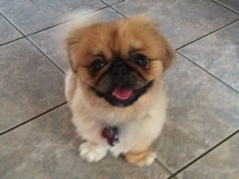 Happyclouds profile photo