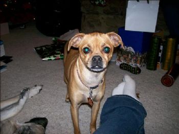 Buddyka profile photo