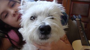 Judi0821 profile photo