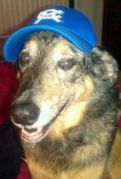 Mkgilmore profile photo